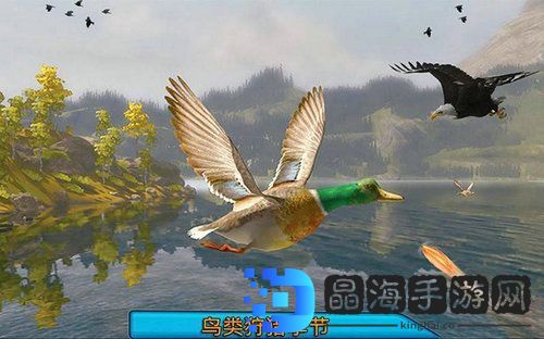 沙漠鸟类狙击手(Desert Birds Sniper Hunter)