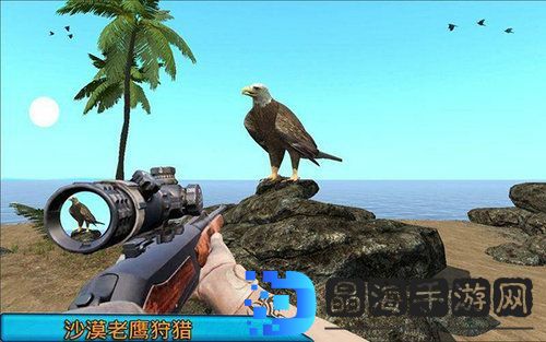 沙漠鸟类狙击手(Desert Birds Sniper Hunter)