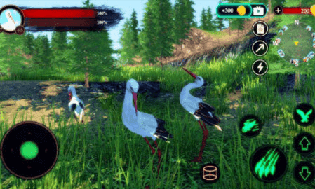 丹顶鹤模拟器(The White Stork)