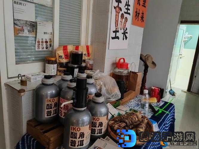 剑侠世界品茶活动作用全面解析：品味江湖韵味，畅享独特体验
