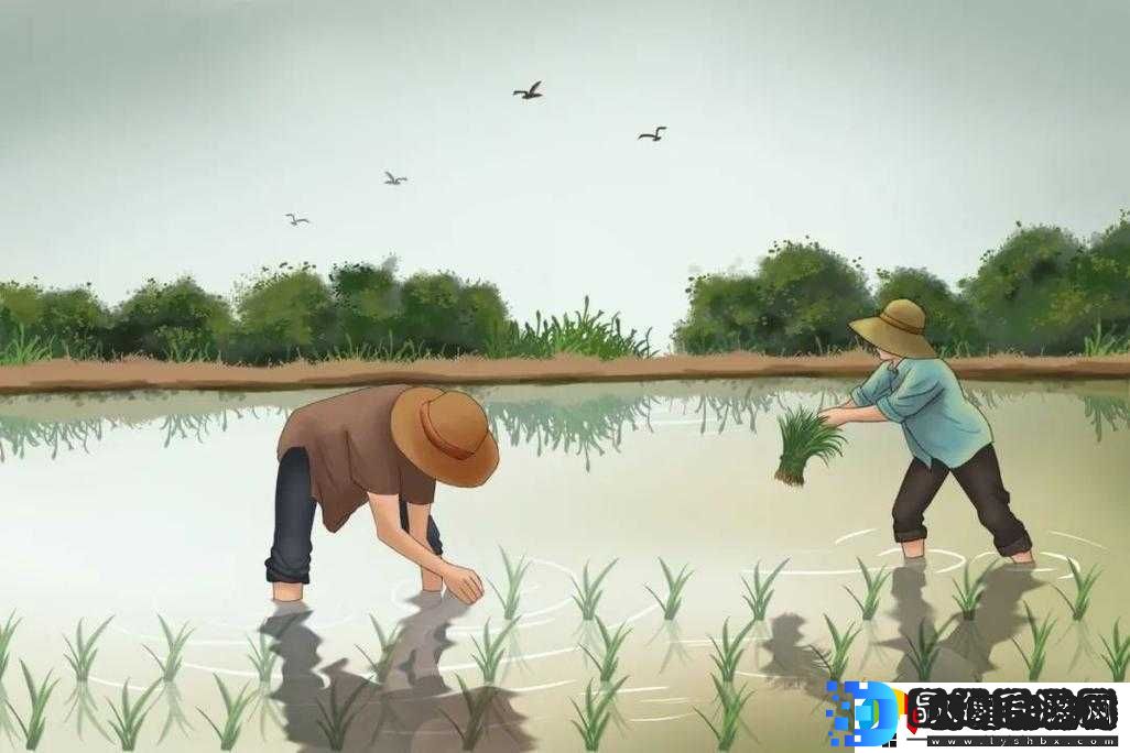 在妈妈肥沃的土地上辛勤耕耘