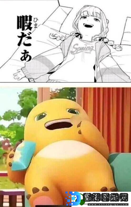 不想娶网红老婆凑合过