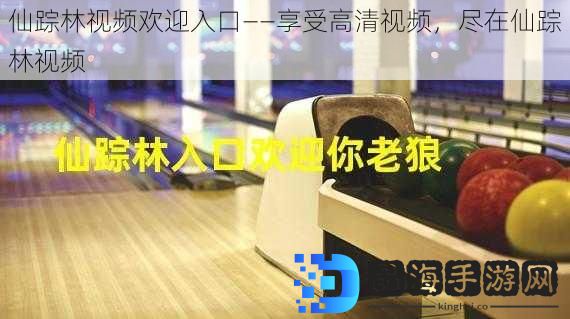 仙踪林视频欢迎入口——享受高清视频，尽在仙踪林视频