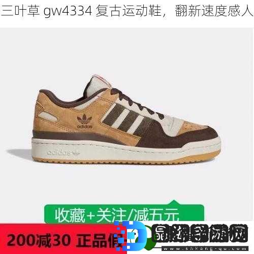 三叶草