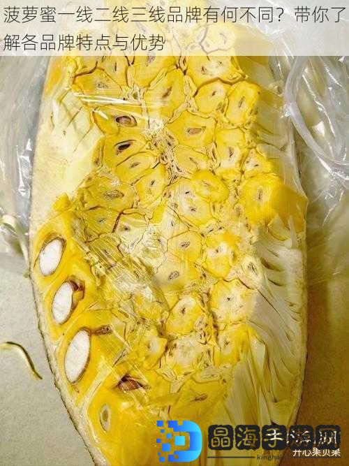 菠萝蜜一线二线三线品牌有何不同？带你了解各品牌特点与优势