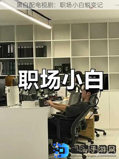 黑白配电视剧：职场小白蜕变记