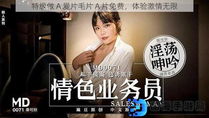 特级做 A 爰片毛片 A 片免费，体验激情无限