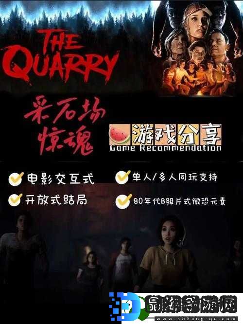 采石场惊魂联机教程及其在游戏资源管理策略中的关键作用解析