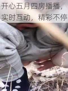 开心五月四房播播，实时互动，精彩不停