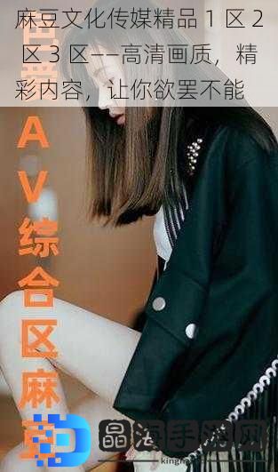 麻豆文化传媒精品 1 区 2 区 3 区——高清画质，精彩内容，让你欲罢不能