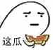 吃瓜网-免费吃瓜黑料泄密，汇聚海量娱乐八卦，实时追踪明星动态，揭秘不为人知的黑幕
