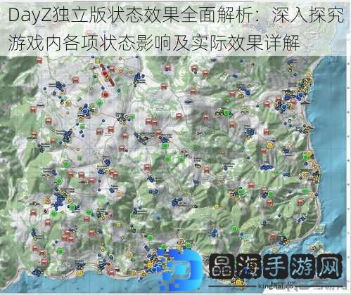 DayZ独立版状态效果全面解析：深入探究游戏内各项状态影响及实际效果详解