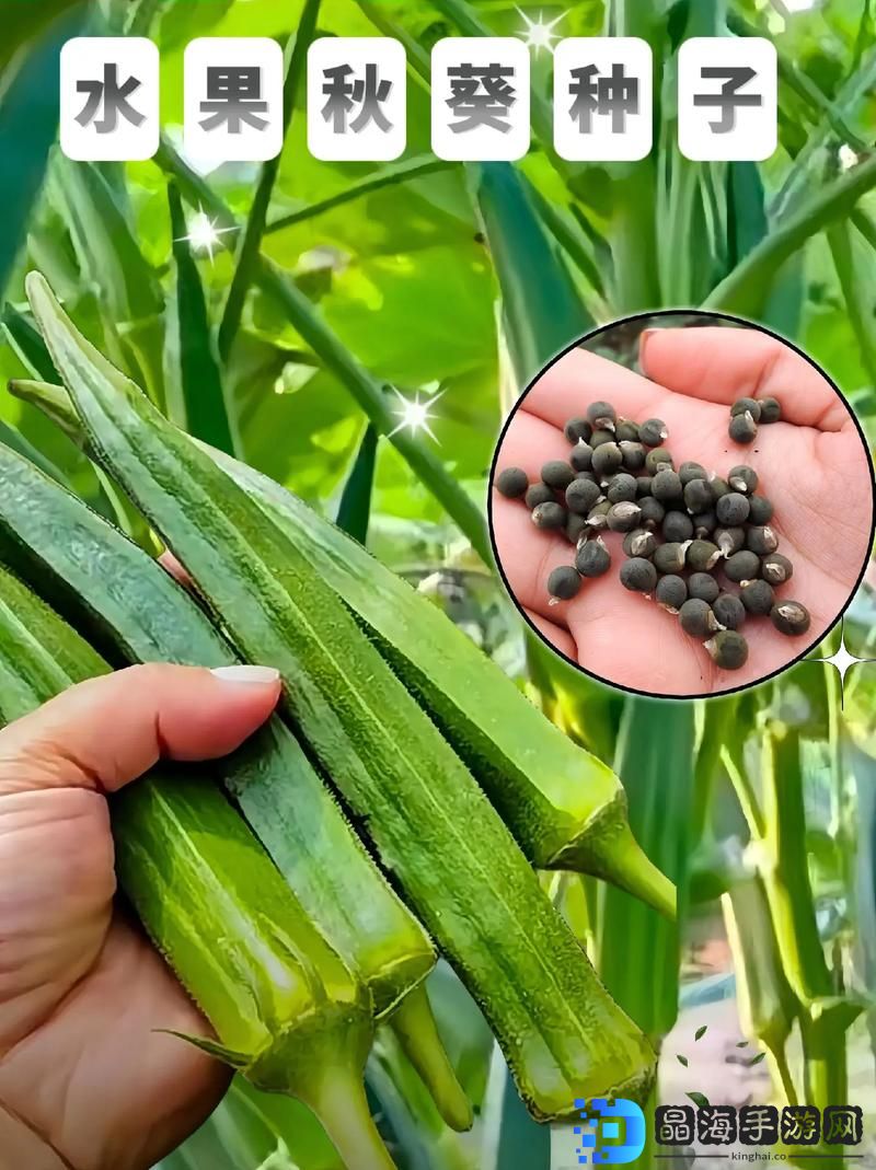 汇集草莓、榴莲、向日葵、秋葵等多种水果和蔬菜，营养丰富，口味独特
