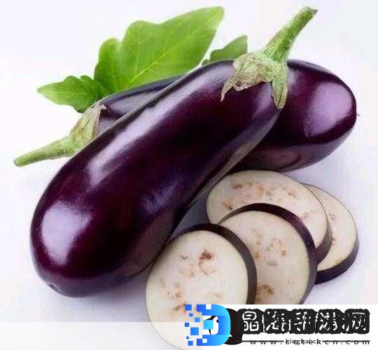茄子丝瓜草莓榴莲石榴