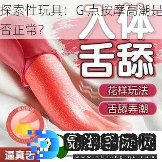 探索性玩具
