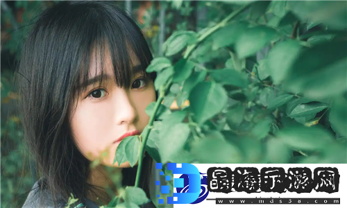 欧洲尺码日本尺码美国欧洲LV攻略来了
