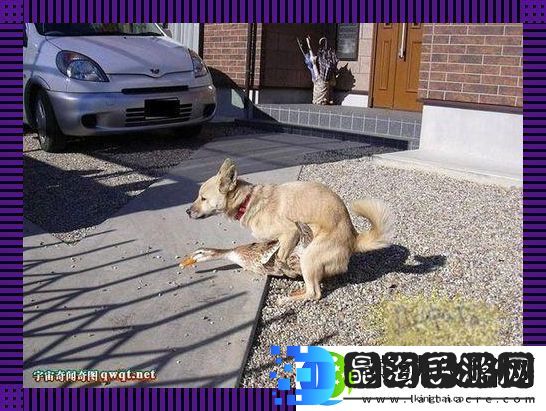 兽性逆袭