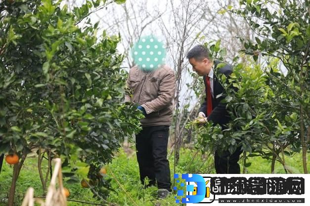 农村人乱弄一区二区的处罚方式