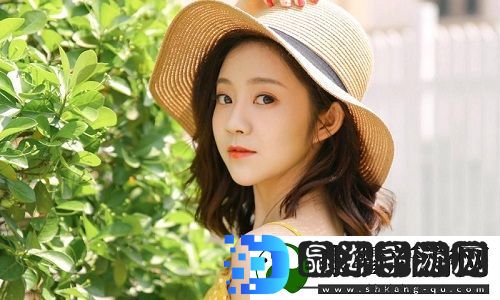 日本免费三色电费2024年