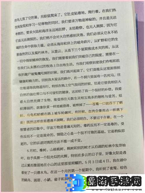 被吃扇贝的感觉