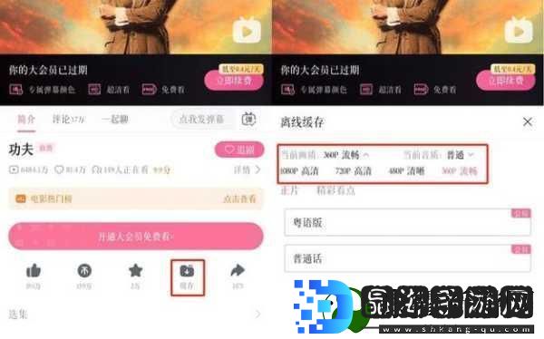 十大B站不收费