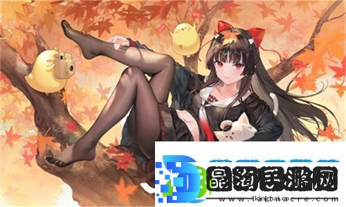欧洲尺码日本尺码专线不卡顿