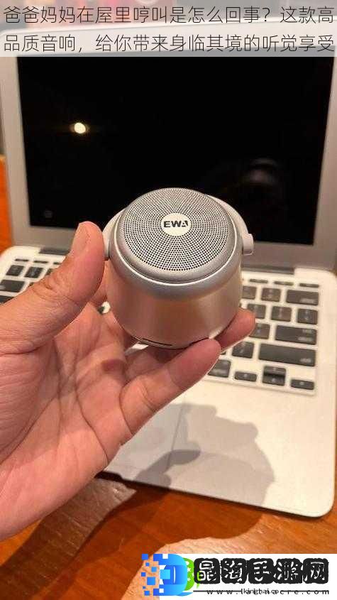 爸爸妈妈在屋里哼叫是怎么回事这款高品质音响给你带来身临其境的听觉享受