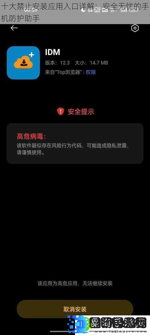 十大禁止安装应用入口详解
