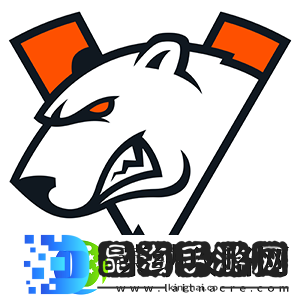 新队友