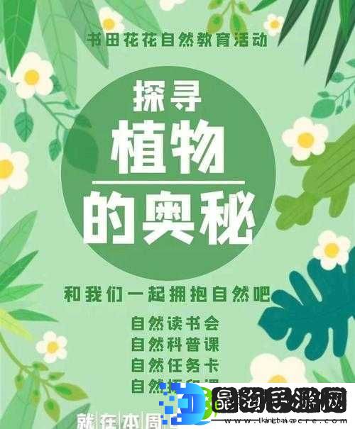 探寻铿锵锵锵锵锵好多少之谜