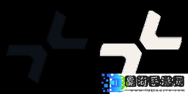 新队友