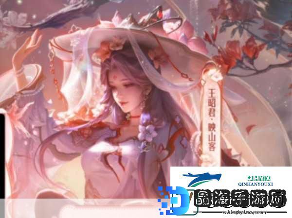 王者荣耀王昭君FMVP皮肤