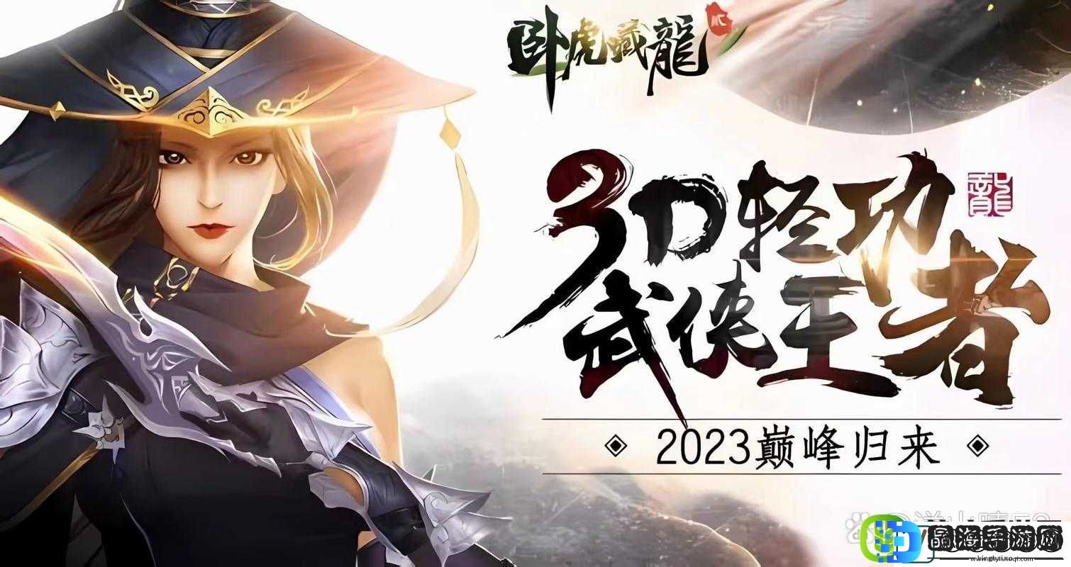 卧虎藏龙贰深度解析