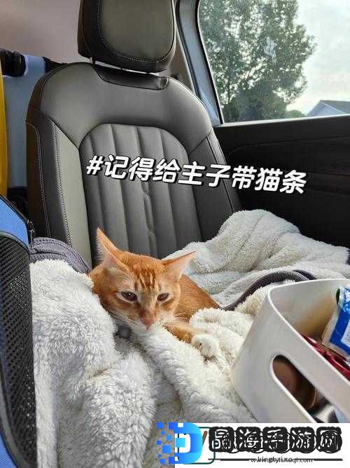 小杰车子越来越颠簸