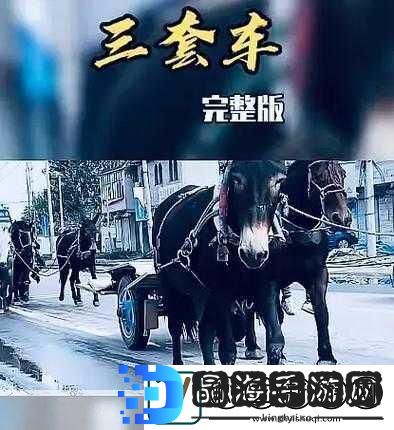 俄罗斯PononDLX