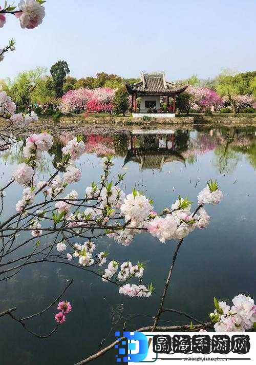 母亲的桃花源