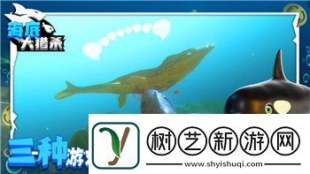斗罗大陆魂师对决攻略平民攻略2021最新