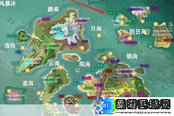 云斑鹦鸟踪迹揭秘