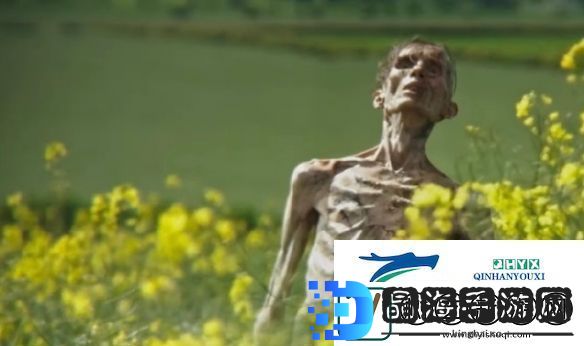 知名恐怖片惊变28年续集定名定档2026年上映！