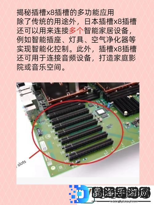 日本插槽X8是正规还是仿引发热议