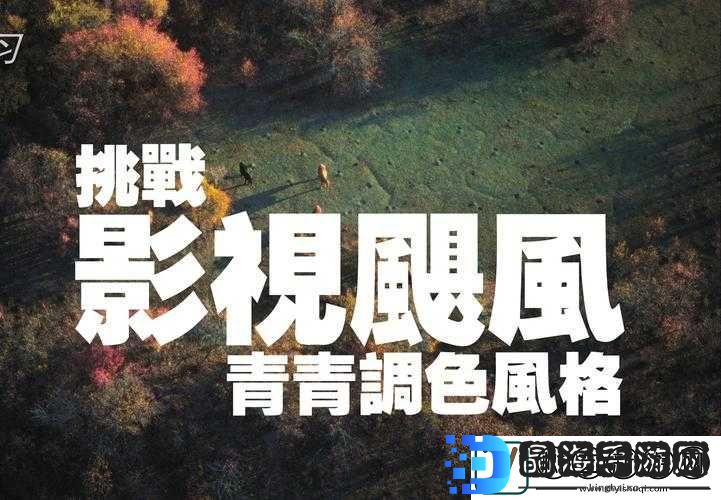 大香蕉欧美日韩