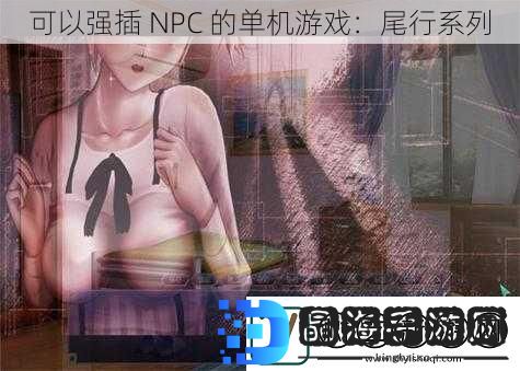 可以强插NPC的单机游戏