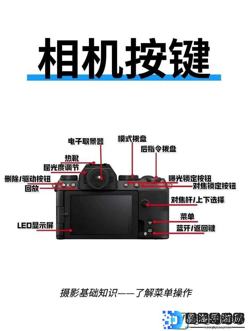 范海辛的奇妙冒险