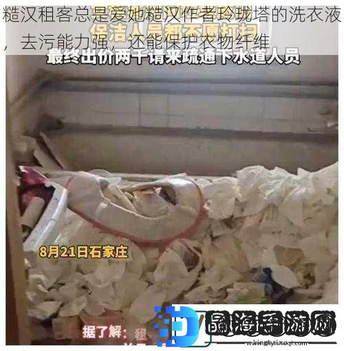 糙汉租客总是爱她糙汉作者玲珑塔的洗衣液