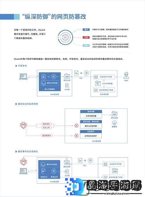 全面解析