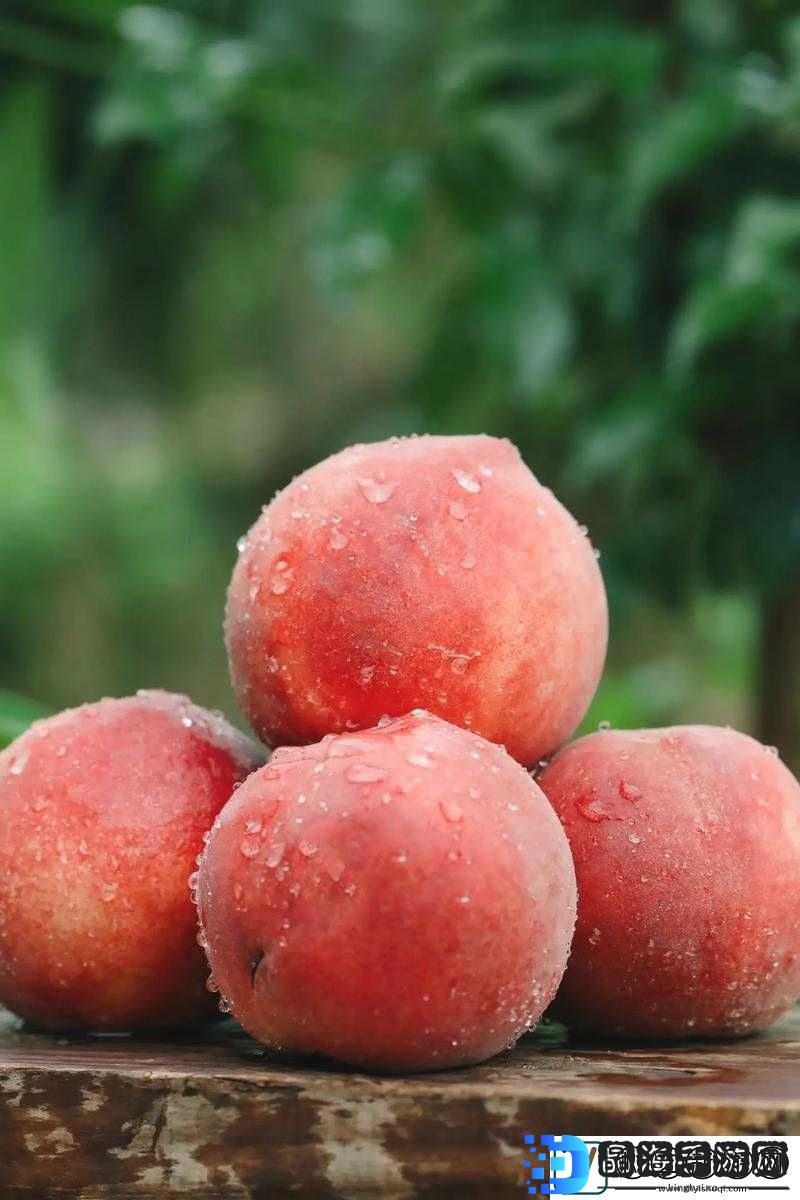 蜜桃图片区