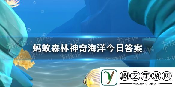 以下哪种螃蟹会用钳子挥舞海葵被称为啦啦队蟹