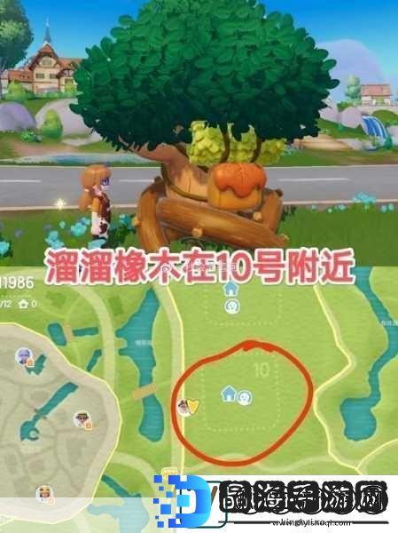 心动小镇探险指南溜溜橡木与无暇萤石获取秘籍
