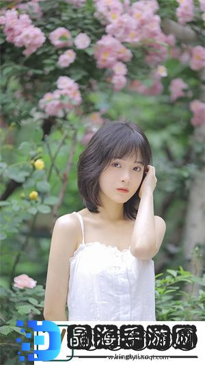 美国人与动物胶配方大全里的秘密：从胶香到妙用，生活的每个角落都被点亮！