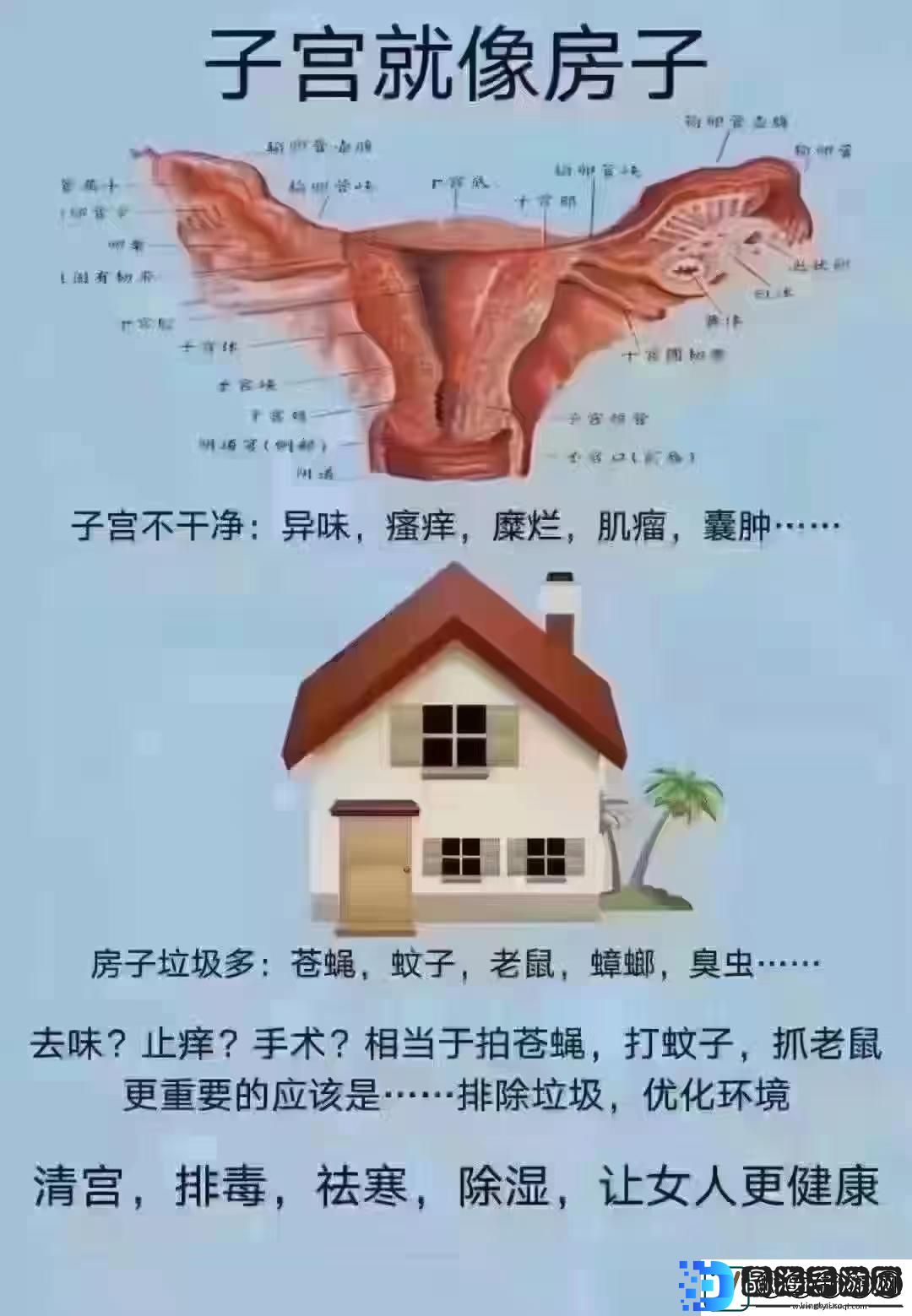 女性的秘密花园飘出银丝谜团